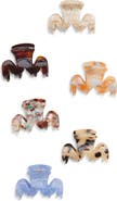 Tasha 6-Pack Mini Jaw Hair Clips