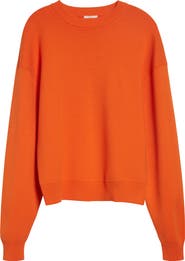 A.L.C. Teddy Crewneck Sweater