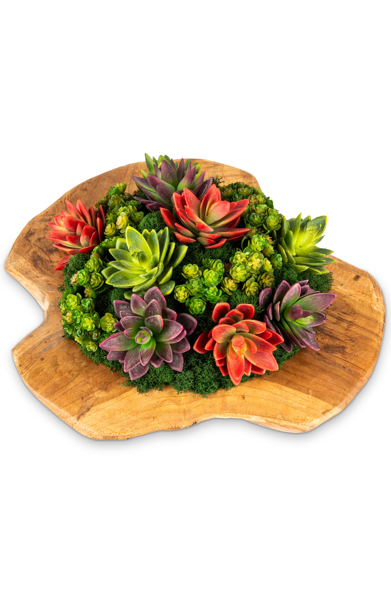 CocoBella Mojave Wooden Bowl Succulent Arrangement, Alternate, color, Multi-Color
