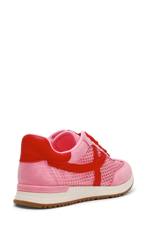 Dolce Vita Dv By Joque Sneaker In Multi