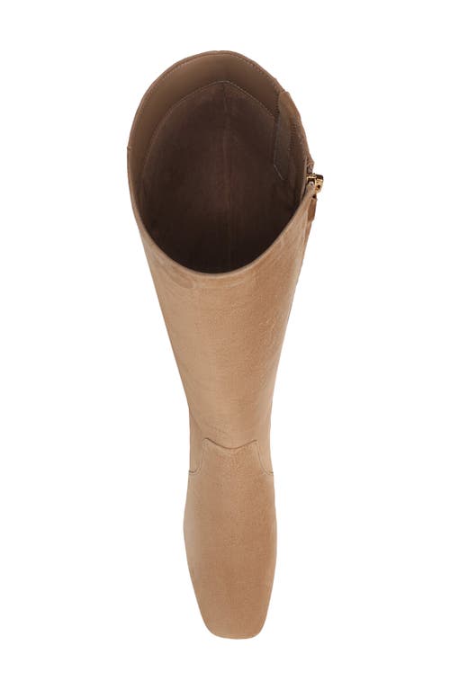 Sam Edelman Porter Knee High Boot In Neutral