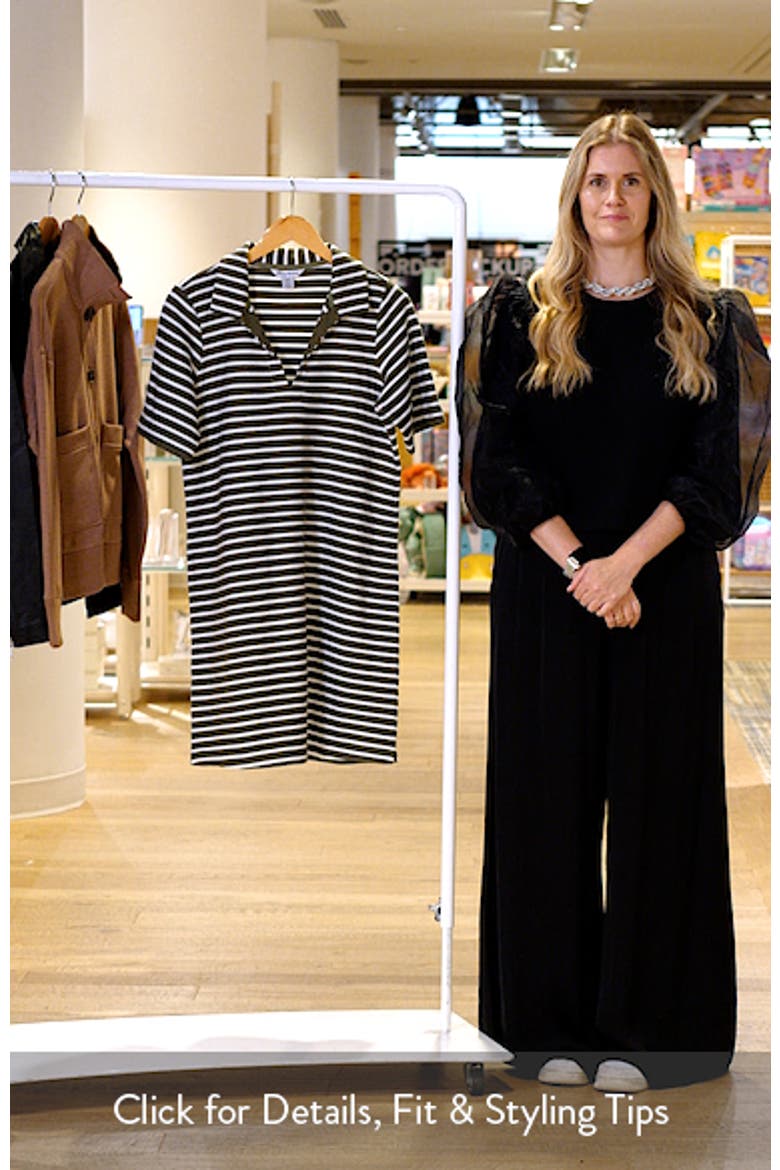 Waterfront View Stripe Polo Dress video