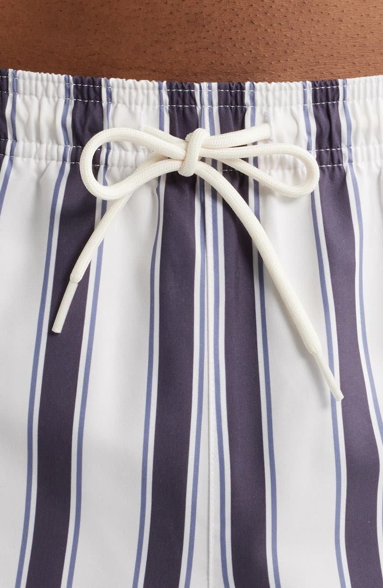 PacSun Mandarin Coal Stripe Swim Trunks, Alternate, color, 