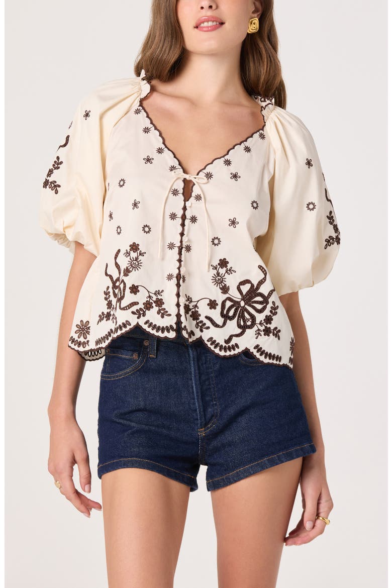 Lucia Embroidered Balloon Sleeve Top, Main, color, CREAM