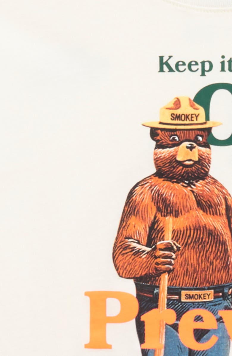 The North Face Kids' Adventure Cotton Graphic T-Shirt, Alternate, color, White Dune/ Smokey The Bear