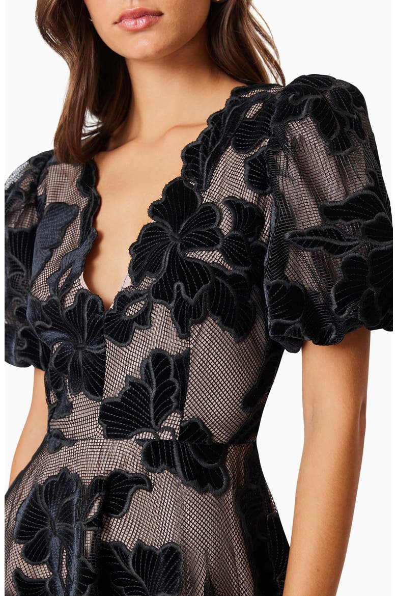 elliatt zara party dress Buy Elliatt Black Zara Party Mini Dress in Velvet Lace For Women Online