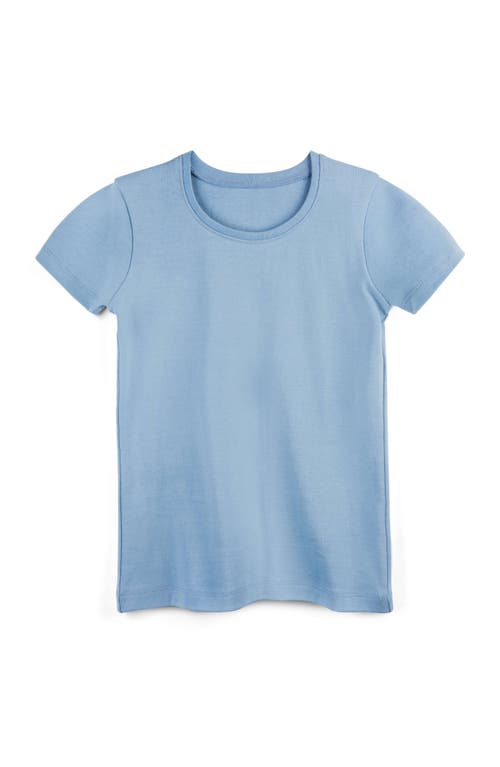 Mightly Organic Cotton Long Sleeve Ribbed Scoop Neck Tee In Chambray