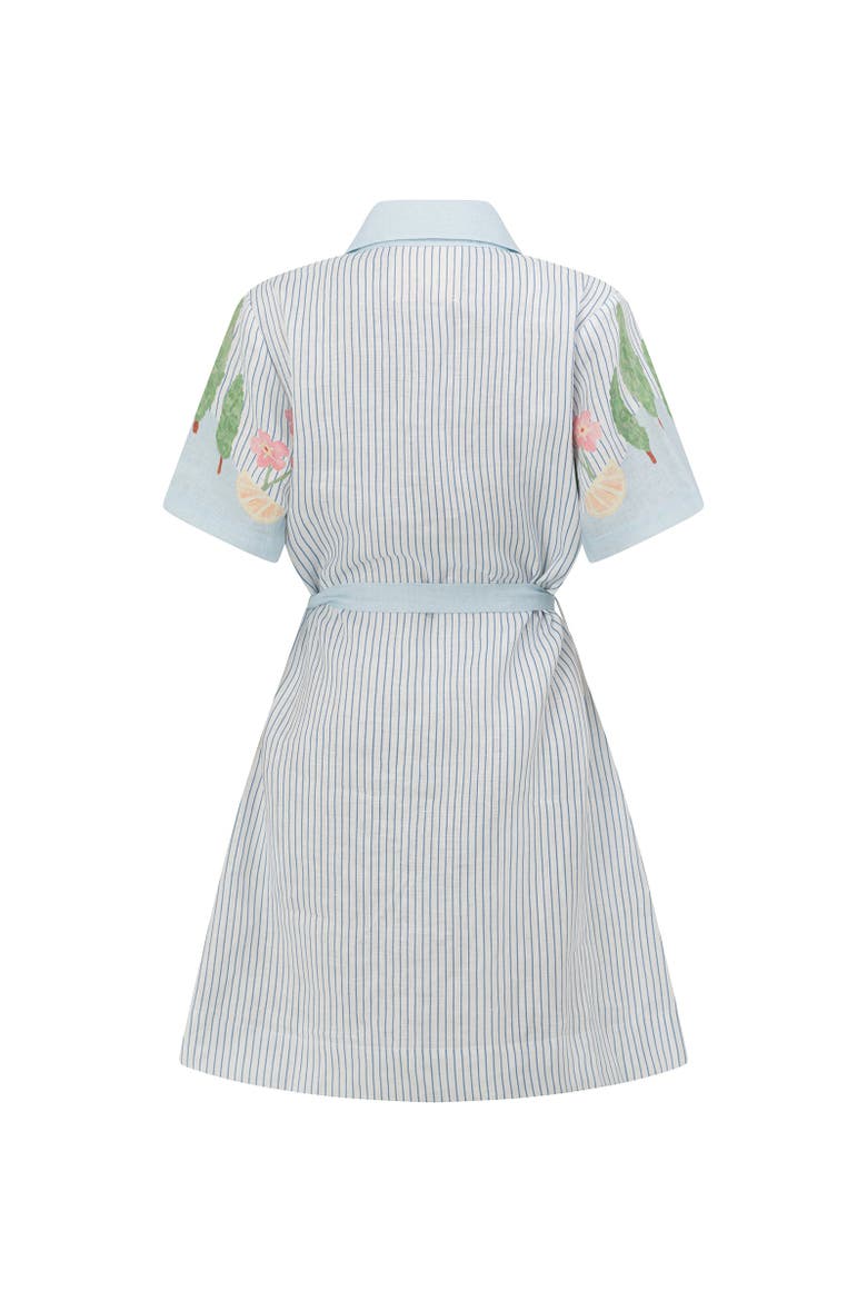 Swan Lake Mini Shirt Dress, Alternate, color, Light Blue