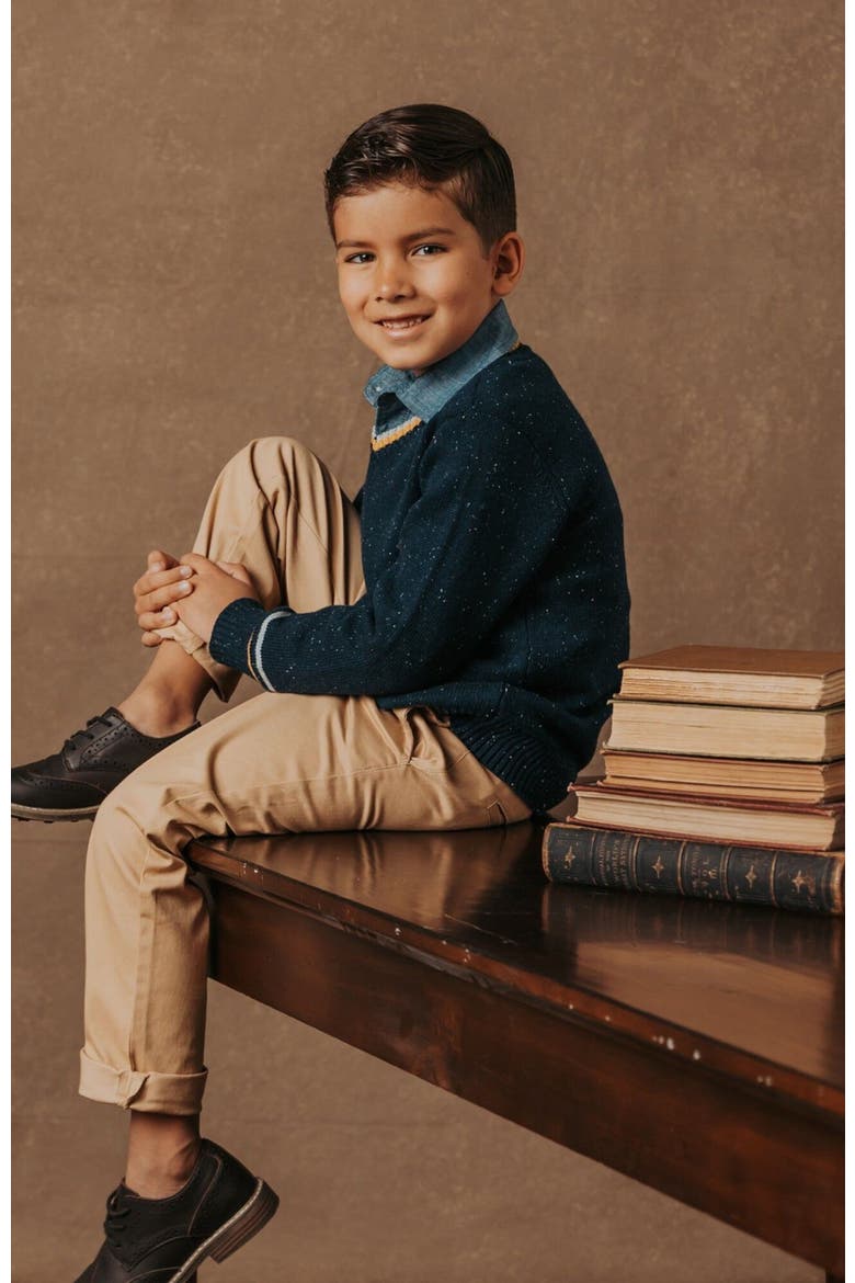 Boys' Organic V-Neck Sweater, Kids, Alternate, color, Navy Fleck with Tipping