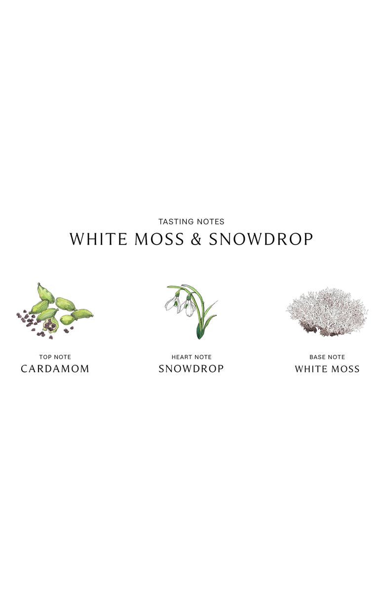 Jo Malone London<sup>™</sup> White Moss & Snowdrop Cologne, Alternate, color, 