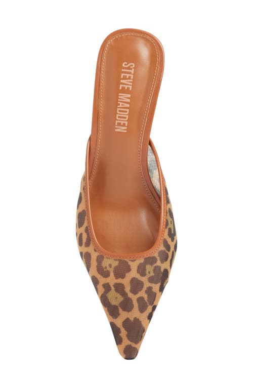 Steve Madden Lisbeth Pointed Toe Mule