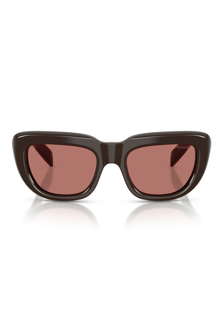 53mm Rectangular Sunglasses, Main, color, CIGAR / BORDEAUX