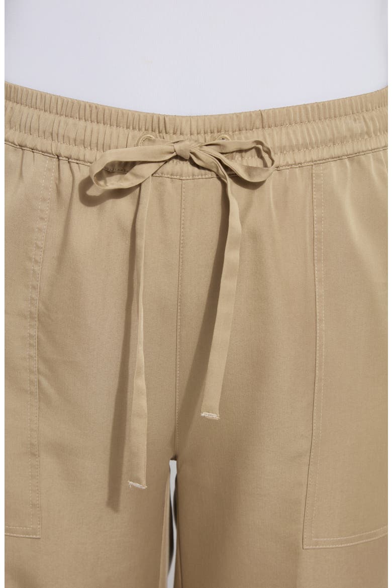 Zena Drawstring Ankle Wide Leg Pants, Alternate, color, SANDSTONE