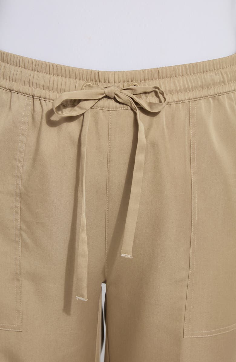 Lysse Zena Drawstring Ankle Wide Leg Pants, Alternate, color, Sandstone