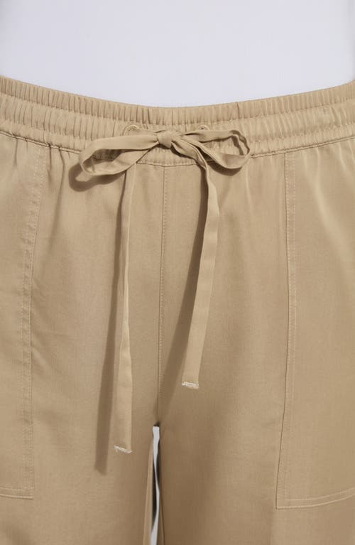 Lyssé Zena Drawstring Ankle Wide Leg In Sandstone In Sandstone