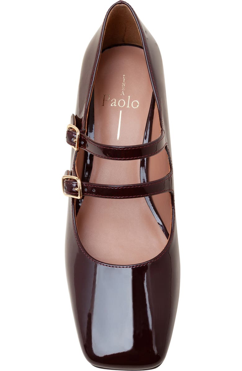 Linea Paolo Mischa Mary Jane Pump, Alternate, color, Burgundy