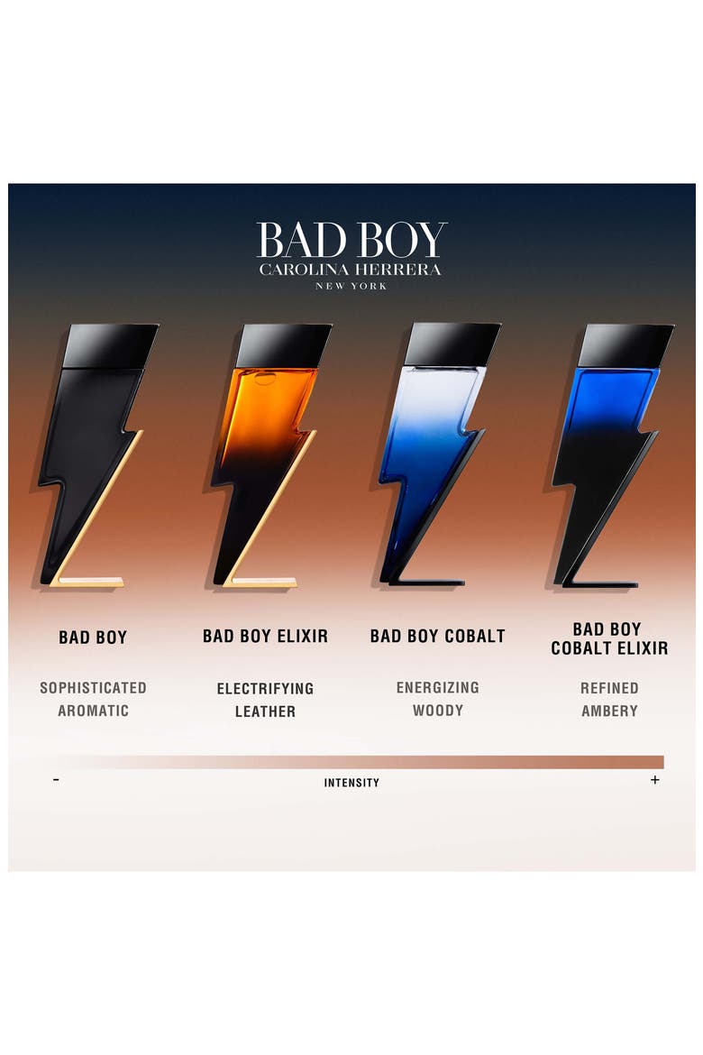 Bad Boy Cobalt Eau de Parfum Valentine's Day Gift Set $192 Value, Alternate, color, NO COLOR