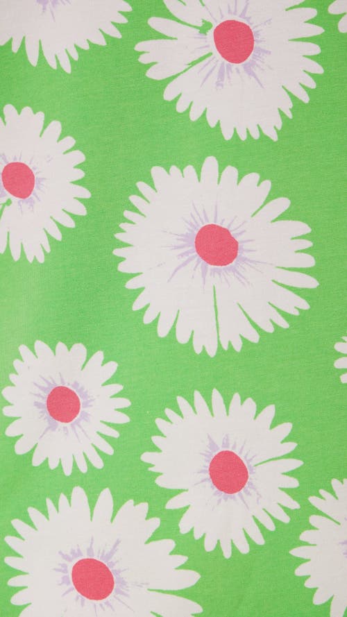 The Cat's Pajamas Pima Knit Nightgown In Green