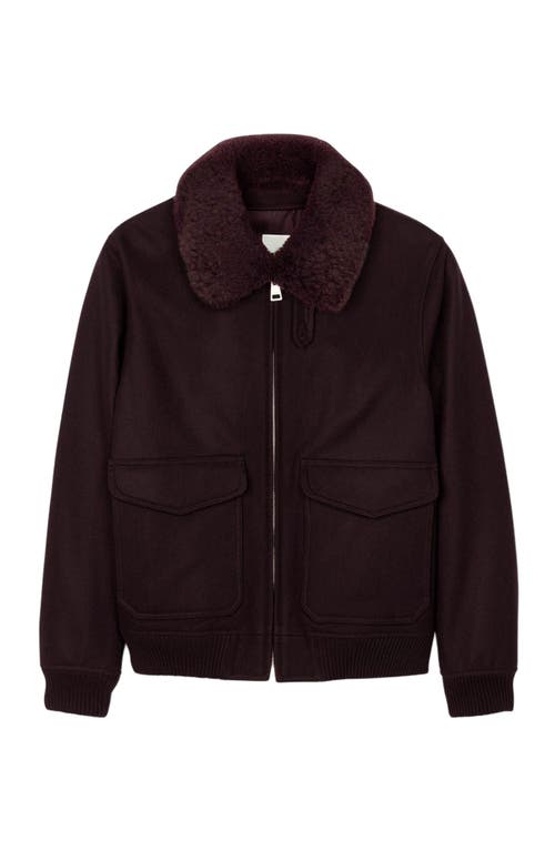 Sandro Mens Chocolate Shearling-collar Wool-blend Aviator Jacket In Brown