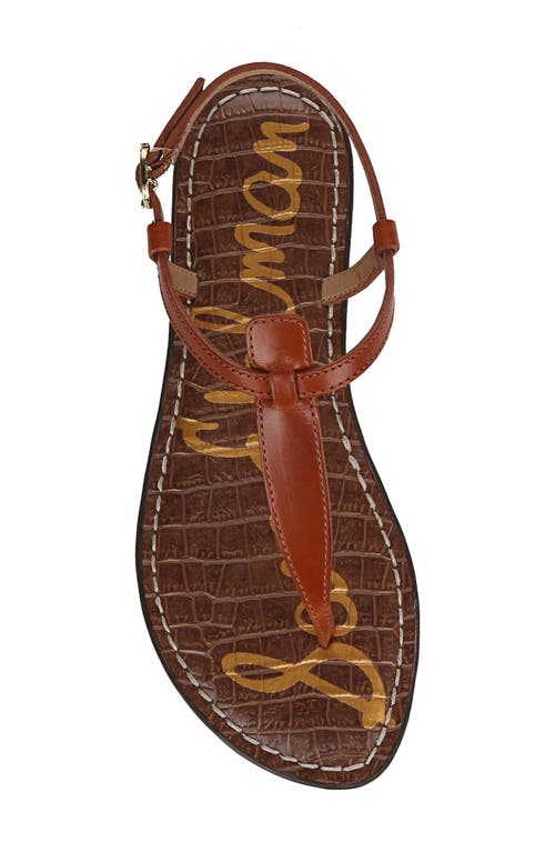 Sam Edelman Gigi Thong Sandal Kona Brown Leather In Kona Brown New
