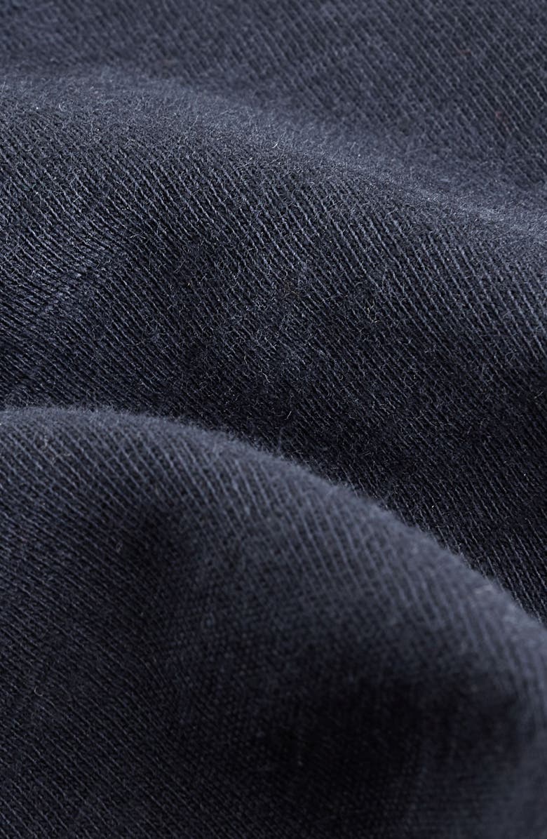 NEXT Kids' Dog Colorblock Cotton Graphic T-Shirt, Alternate, color, Blue