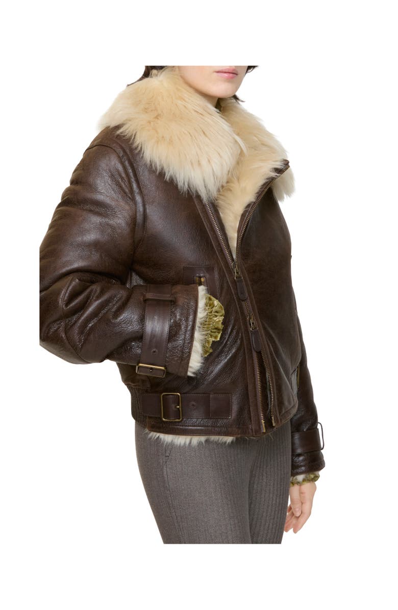 Burberry Cropped Shearling Aviator Jacket, Alternate, color, Dark Brown