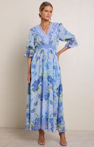 Hale Bob Meridian Chiffon Maxi Dress