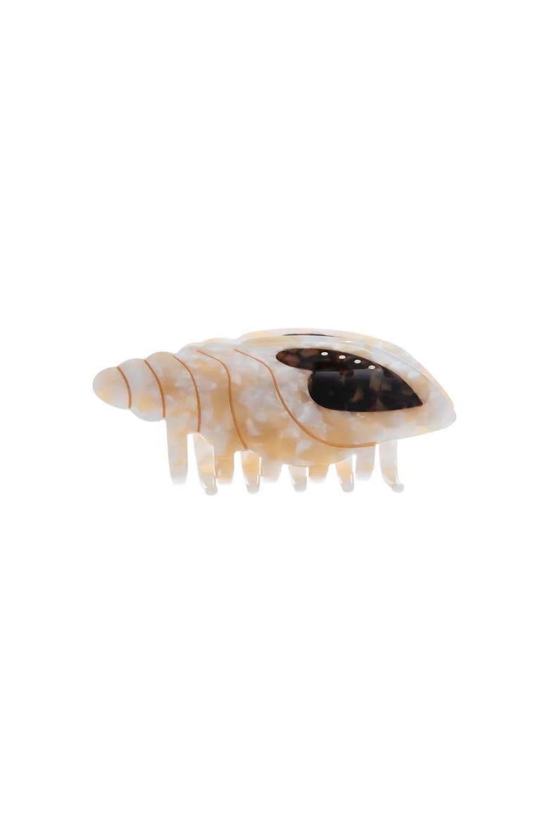 Two Tone Seashell Claw Clip, Main, color, Cream