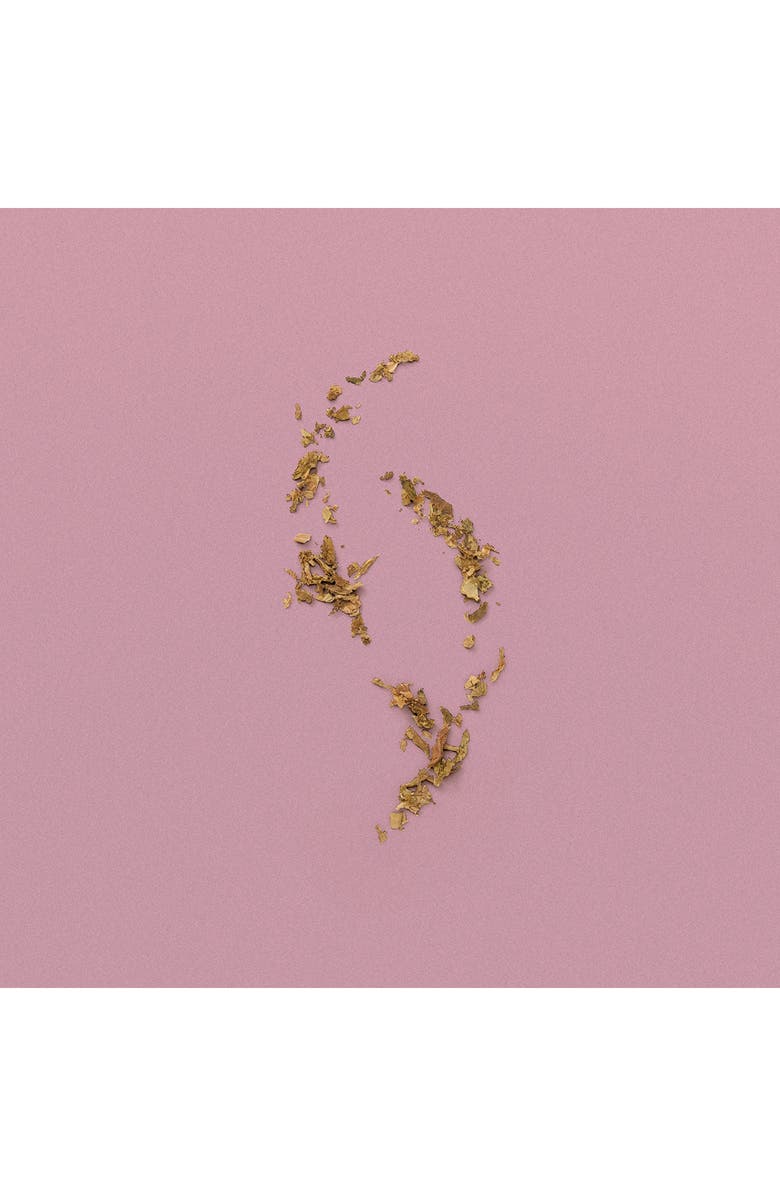 Gucci The Alchemist's Garden A Winter Melody Acqua Profumata, Alternate, color,