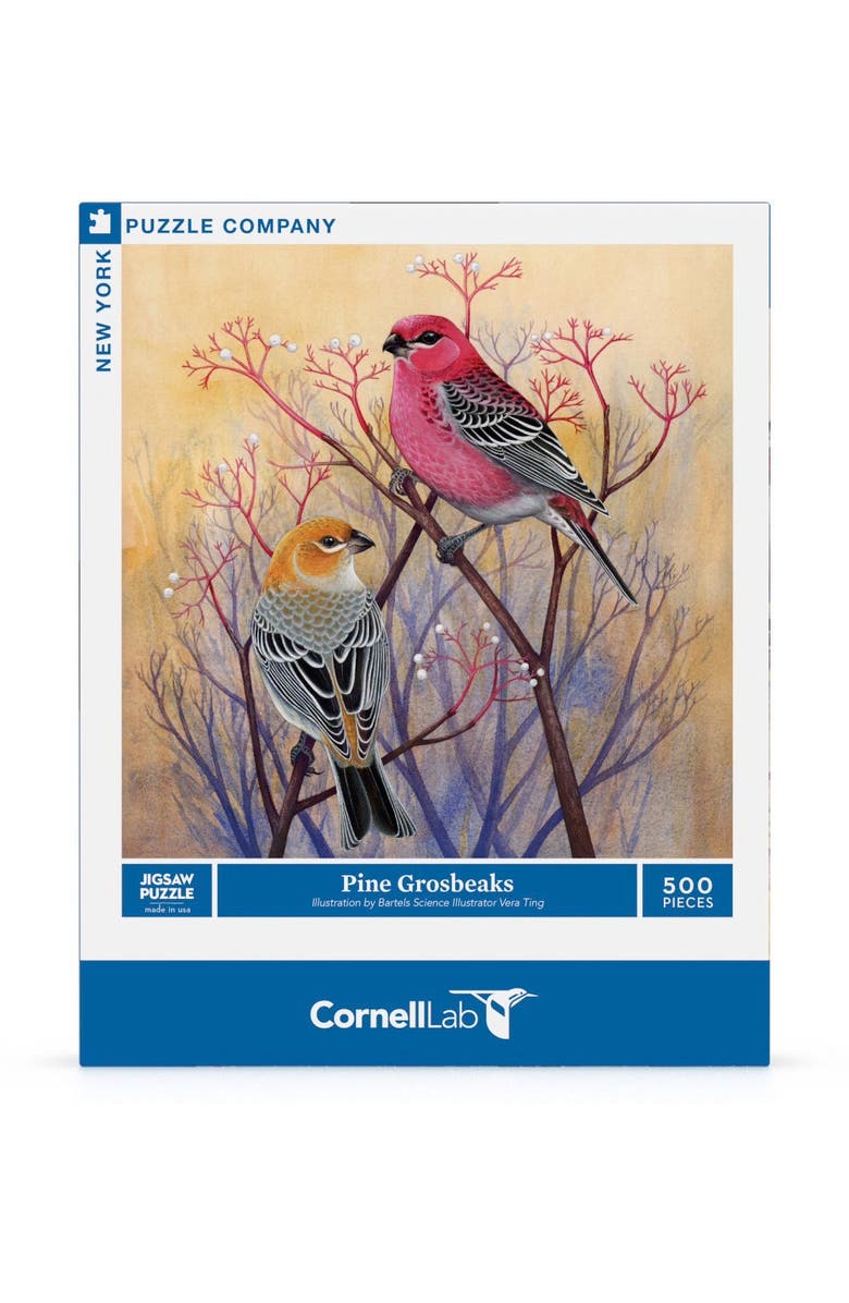 NEW YORK PUZZLE COMPANY Pine Grosbeaks 500 Piece Puzzle, Main, color, NO COLOR