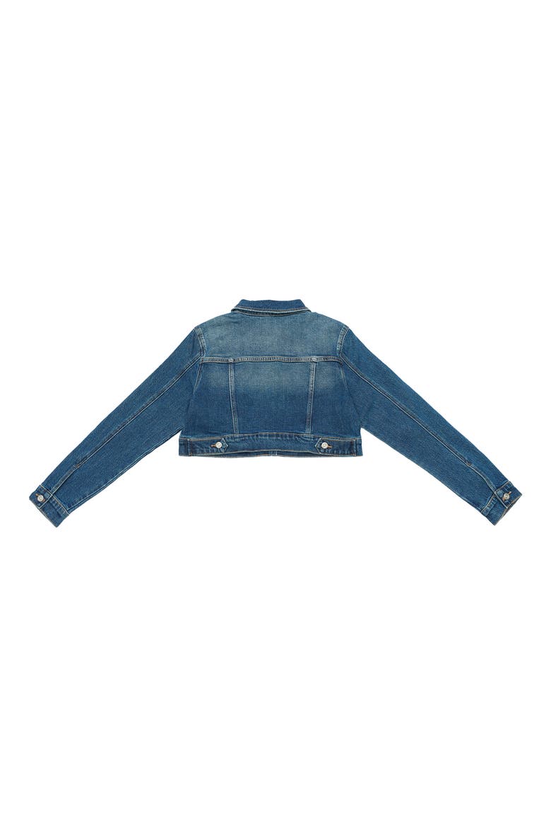 Crop Denim Jacket, Alternate, color, BLUE ALICE