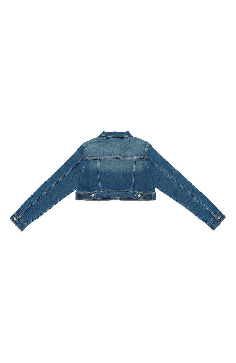 Bayeas Crop Denim Jacket, Alternate, color, Blue Alice