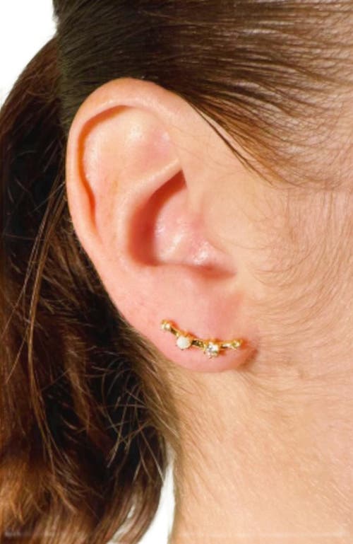 Little Sky Stone Elara Crawler Earrings In Gold