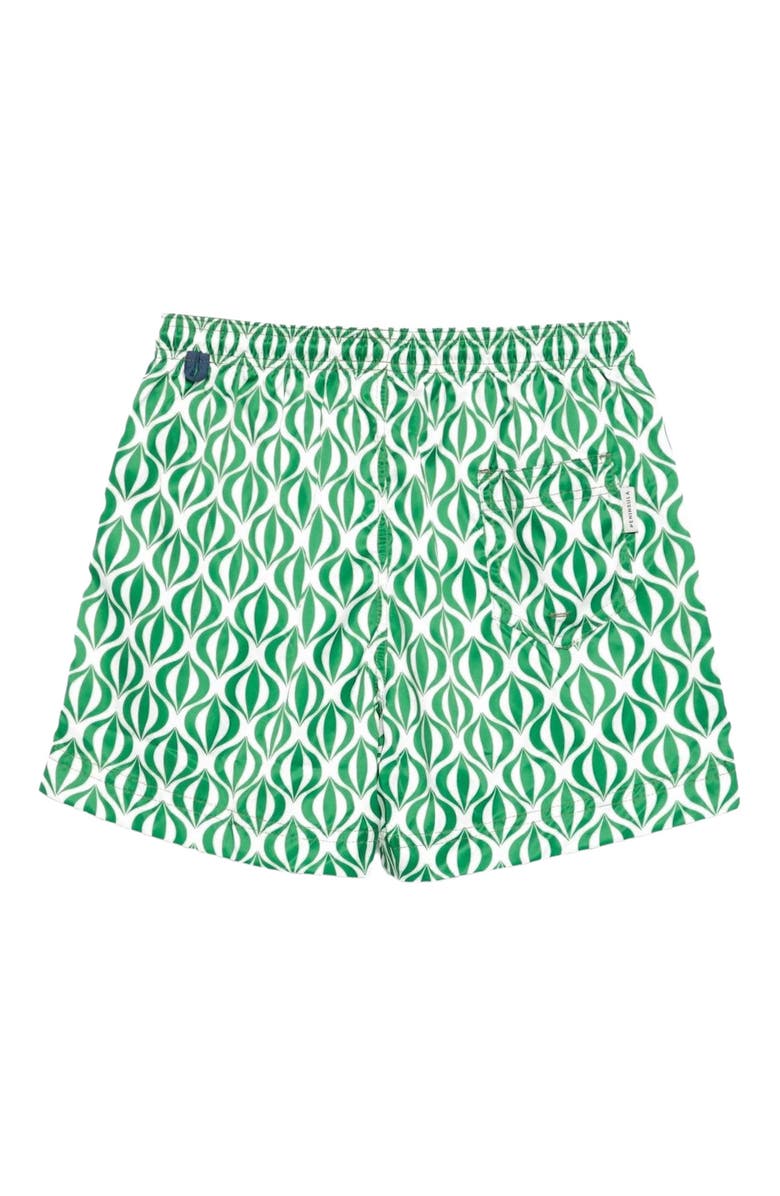 Peninsula Swimwear Cala Cipolla Swim Shorts, Alternate, color,