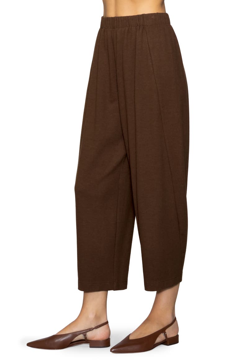 Brushed Crop Pants, Alternate, color, CHOCOLATE