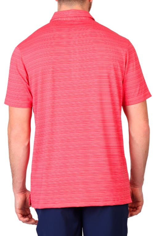 TAILORBYRD TAILORBYRD VARIEGATED STRIPE PERFORMANCE POLO 