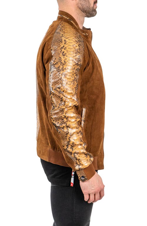 Maceoo Pythondesert Brown Snakeskin Embossed Leather Jacket In Brown