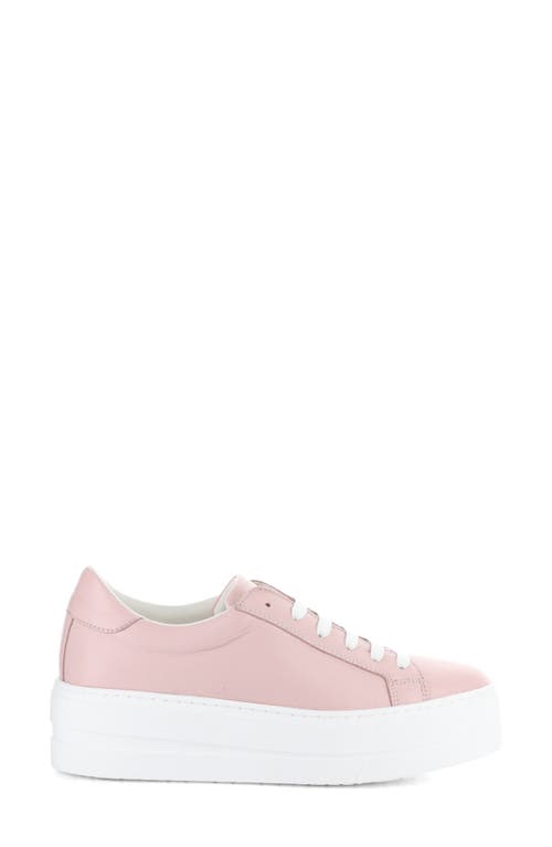 Bos. & Co. Maya Platform Sneaker In Pink