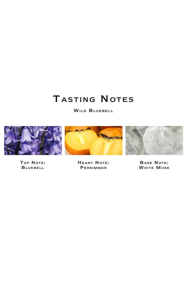 Wild Bluebell Scent Surround™ Diffuser, Alternate, color, NO COLOR