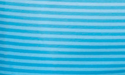 Calvin Klein Graphite Stripe Core Volley Swim Trunks In Blue
