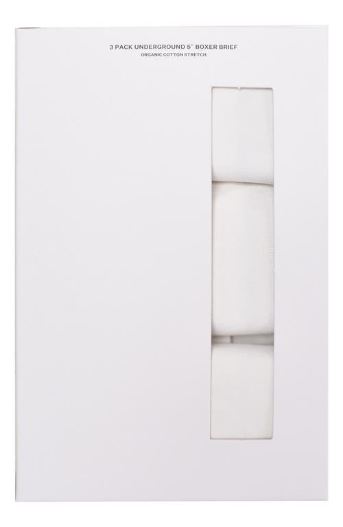 Allsaints 3-pack 5-inch Contour Pouch Boxer Briefs In White