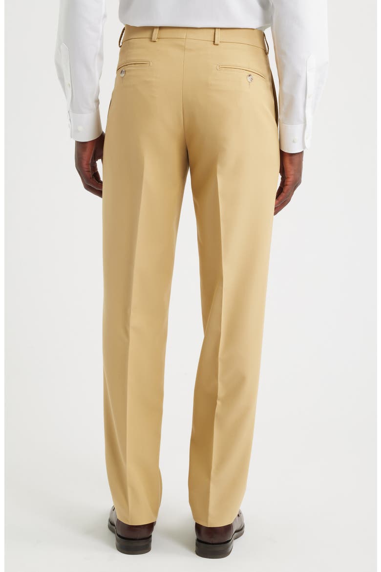 Nano Reflex Pants, Alternate, color, TAN