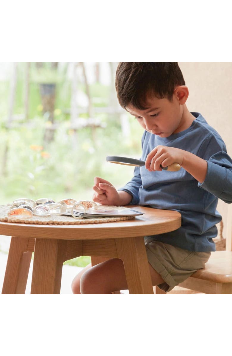 Kaplan Early Learning Company Specimen Stones Sea Creatures - 9 Pieces, Alternate, color, Clear