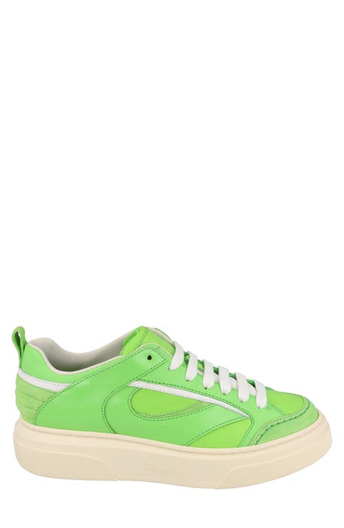 Ferragamo Man Sneakers Light Green Size 12 Leather In Green