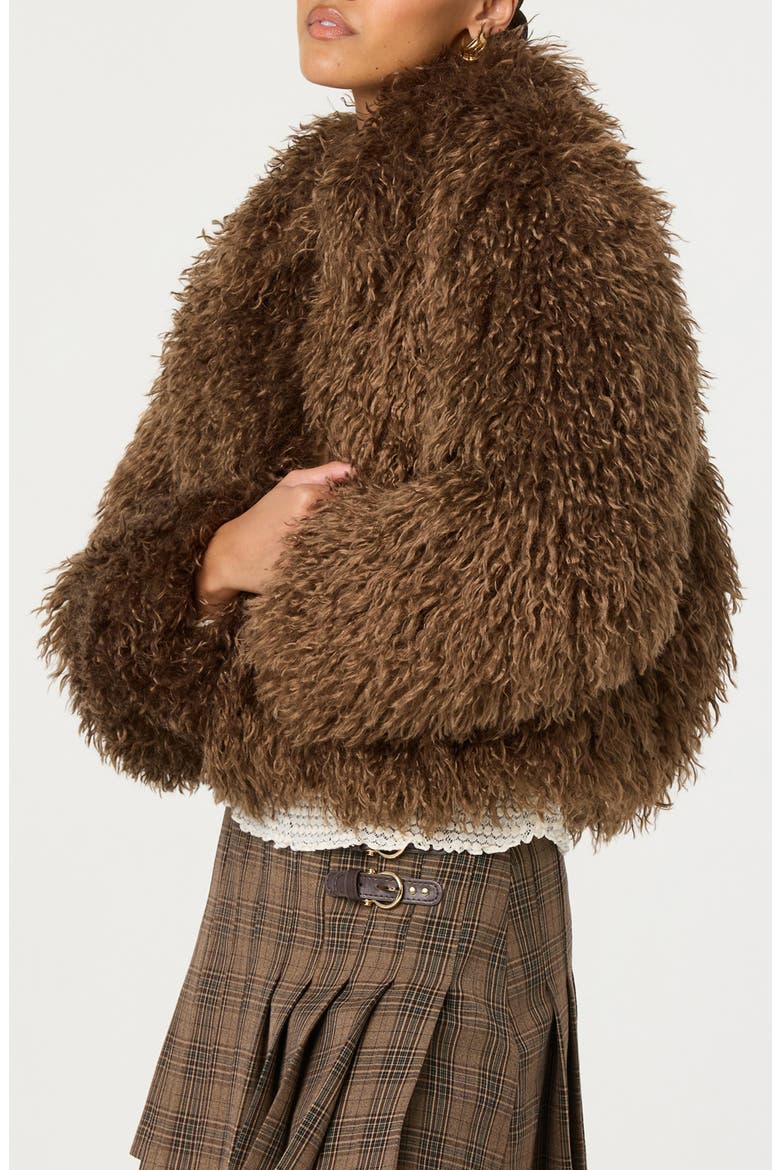 Kamrath Faux Fur Jacket, Alternate, color, BROWN