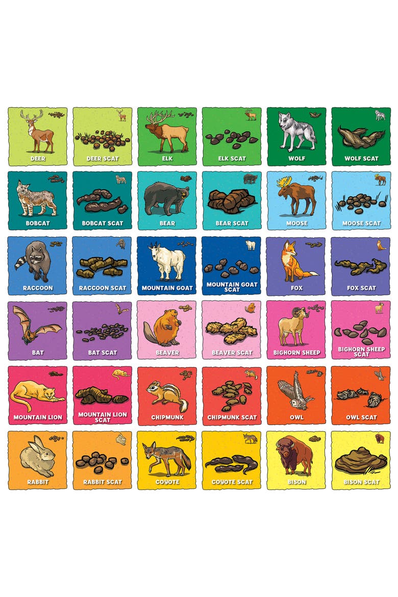 Animal Poop Matching Game, Alternate, color, Multicolor