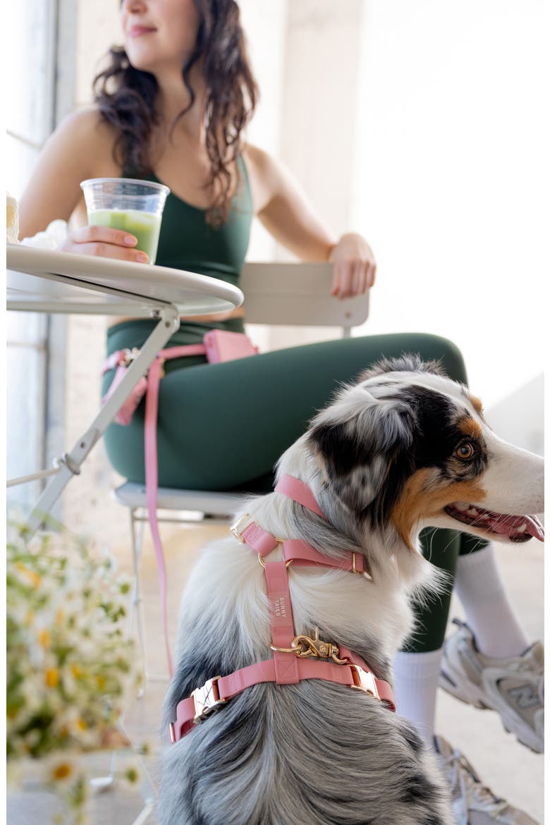 Cloud Lite Waterproof Dog Harness, Alternate, color, PERFECT PINK