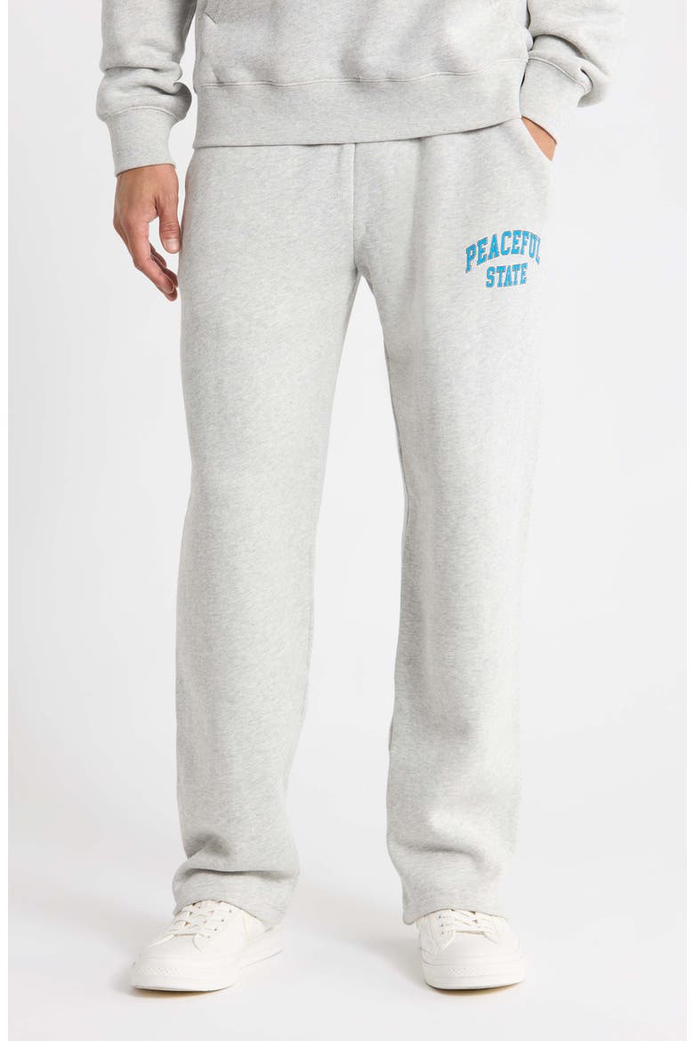 Peaceful Cotton Fleece Sweatpants, Main, color, ASH