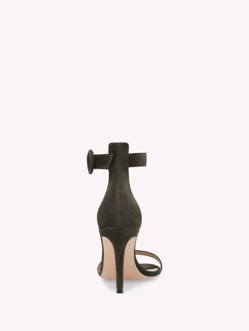 Gianvito Rossi Ankle-strap Suede Sandals