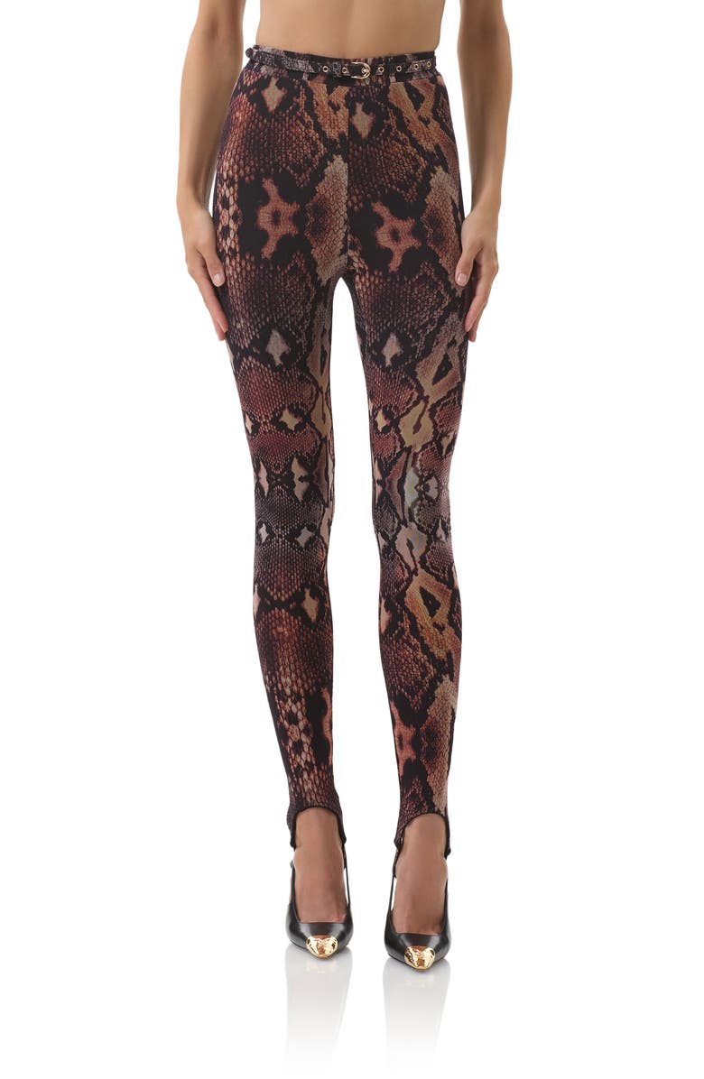 AFRM Carey Belted Stirrup Pants, Main, color, Scattered Snake